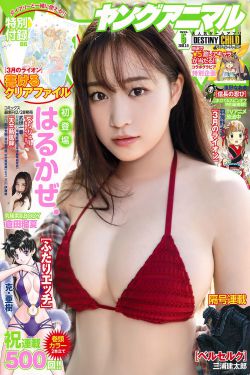 第十二秒电视剧免费观看